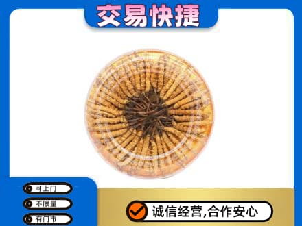 广州高价回收虫草礼盒